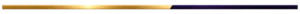 horizontal gold and black divider line