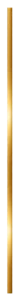 vertical gold accent line